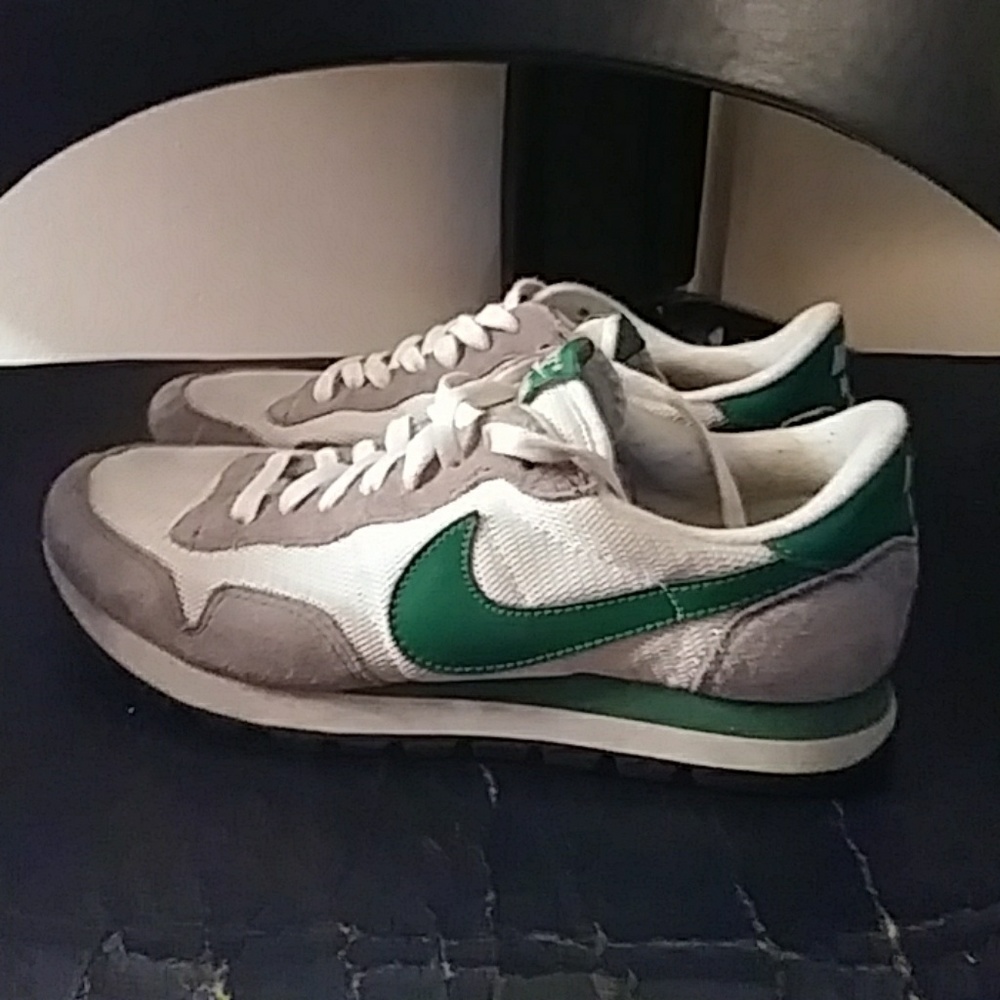Nike air Pegasus